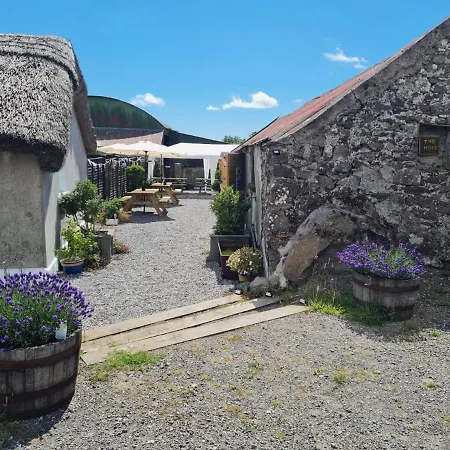 The Getaway - The Buzzard - Luxury Family Glamping ダンガーバン